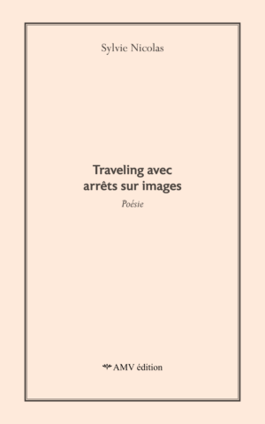 Livre - Traveling avec arrêts sur images